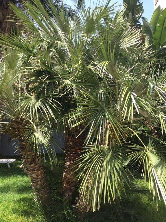 Ucciardhome Hotel Palermo Exterior photo